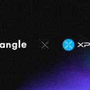 엑스크로스넷 이미지