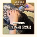 창원 두피 관리 용호동 닥터포레 방문 후기 10년 전통의 1:1 맞춤 케어로 힐링하고 왔어요