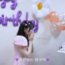 다나정보 이미지
