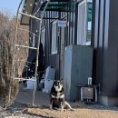 다이소 고령점 | 고령 더360 캠핑장 일출 일몰 운무 모두 볼 수 있는 곳 1박 후기 A2 사이트