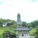숲쟁이꽃동산 Daum카페