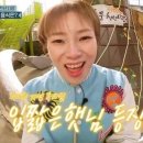 햇님이네 이미지