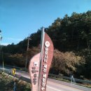 읍리 지석묘 | 중부내륙권 1차 팸투어 셋째 날 - 충청북도 제천 가볼 만한 곳들
