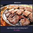 내맘대로돼지