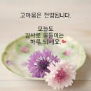 구미댄스투어 이미지