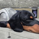 <2025 강북Festa> 전시 | 도담도담 산후도우미 성북·종로·강북점 ㅣ 2025년 가을, 성수 하우스 노웨어 전시 다녀온 후기