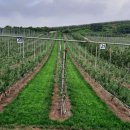 박재덕 농장 이미지