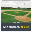 무안스포츠파크 야구장 이미지
