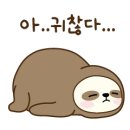 피트니스101 이미지