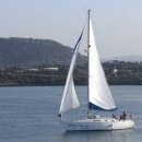 아그리나 B 이미지