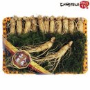 대명농장 이미지