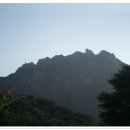 솔뫼골식당 이미지