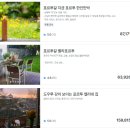 오비두스민박 | [여자 혼자 포르투갈 여행] 0. 여행 준비 1 (항공권, 숙소, 투어 예약)