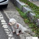 어게인;광안