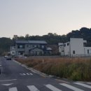 동막공인중개사사무소 이미지