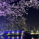 우리들의명소 이미지