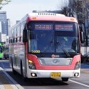 화랑마트 앞 이미지