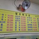 일조회수산