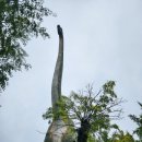 가산박물관 | 칠곡가볼만한곳 가산수피아 10월초 풍경