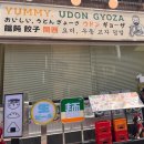 요미우돈교자마곡 | [서울/강남] 가성비 맛집 요미우돈교자 강남점 내돈내산 후기! 넓적우동부터 명란교자까지 만족