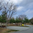 로하스통나무집 | 캠핑 : 완전 제대로 공원캠! 대전 대청호 로하스 캠핑장 2박 후기 feat.대청공원