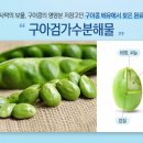 구아 이미지