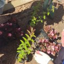 힐링가든 이미지