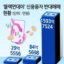 8월 ‘블랙먼데이’ 때 역대급 반대매매 이미지