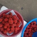 통영멸치1번가 | 황금연휴 통영의 모든 것 '-'