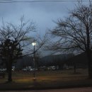 도림사 오토캠핑장 이미지