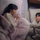 회조아 이미지