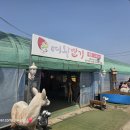 [주말늘봄] 꽃으로 놀아요 | ​[고령 아이와 가볼 만한 곳] 달콤한 딸기 따기부터 기차타기+모래놀이+먹이체험+놀이터까지, '여왕딸기...