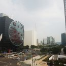 강남유통 이미지