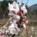 스마일농장 이미지