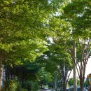 수원-1234 이미지