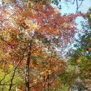 수택천로 이미지