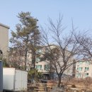 프라임당구클럽 | 파크골프채가방 디자인과 가격 비교정리