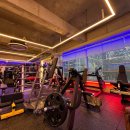 국가대표 송기석 퍼스널트레이닝 이미지