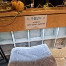 병둔 | 자연과 함께하는 다양한 별관이 있는 원두선택가능 애견동반카페 커피팀버 사천포레스트