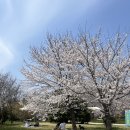 나무아래서(푸드트럭) 이미지