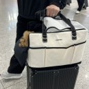 대변해변3 | [제주여행] 제주 3박 4일 애견동반 여행, 10월 여행 코스 추천 (1)