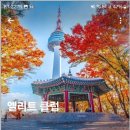 티이알 이미지