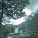 영양 에코둥지 아이와 가기 좋은 흥림산 자연휴양림