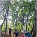 내곡동481 이미지