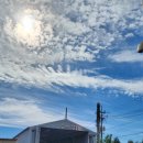 1급상용종합자동차 이미지