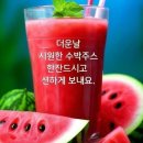 8월3일 월요일 쥐방출석부.. 이미지