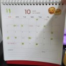 그레이스 고양이 병원 | [그레이스 고양이 병원] 제12회 고양이학교 세미나(구토) 참석 후기