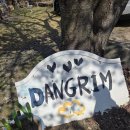 당림미술관 | [아산] 당림미술관 벚꽃 후기(26.04.05)/아산 가볼 만한 곳