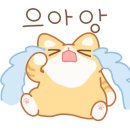 달보드레/루체레 이미지