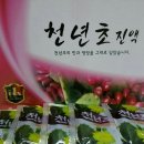 천년애건강원
